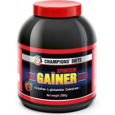 AT SPORTEIN Gainer 2500г
