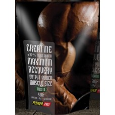 Power Pro Creatine 500г Power Pro Creatine 500г