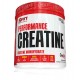 SAN Performance Creatine 300г