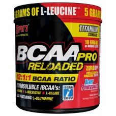 Купить SAN BCAA-Pro Reloaded 456г