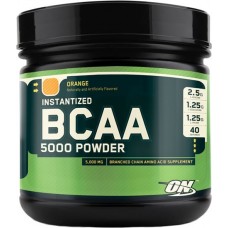 Купить ON BCAA 5000 380г